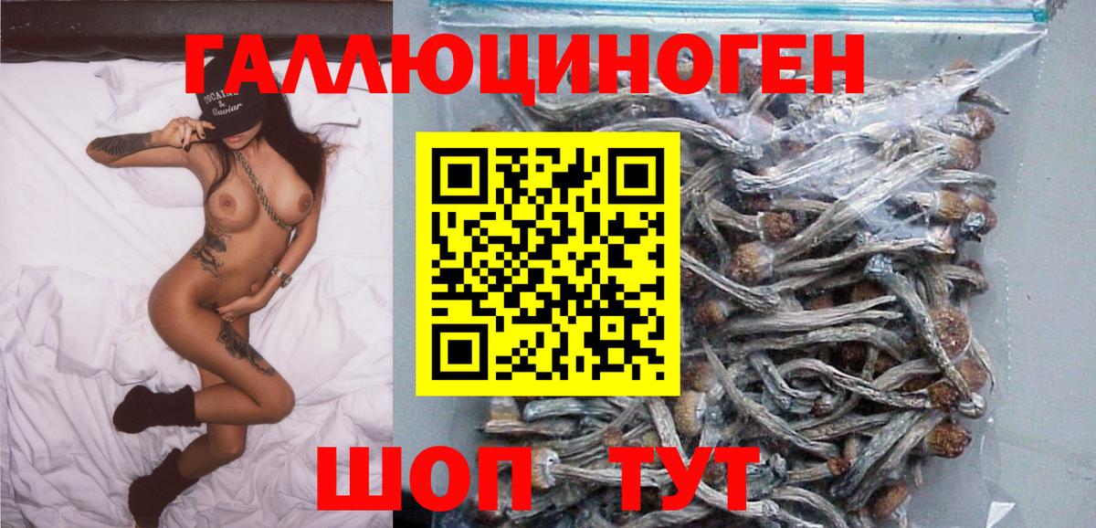 Ростов Великий  Псилоцибиновые грибы Cubensis  Вход с VPN 