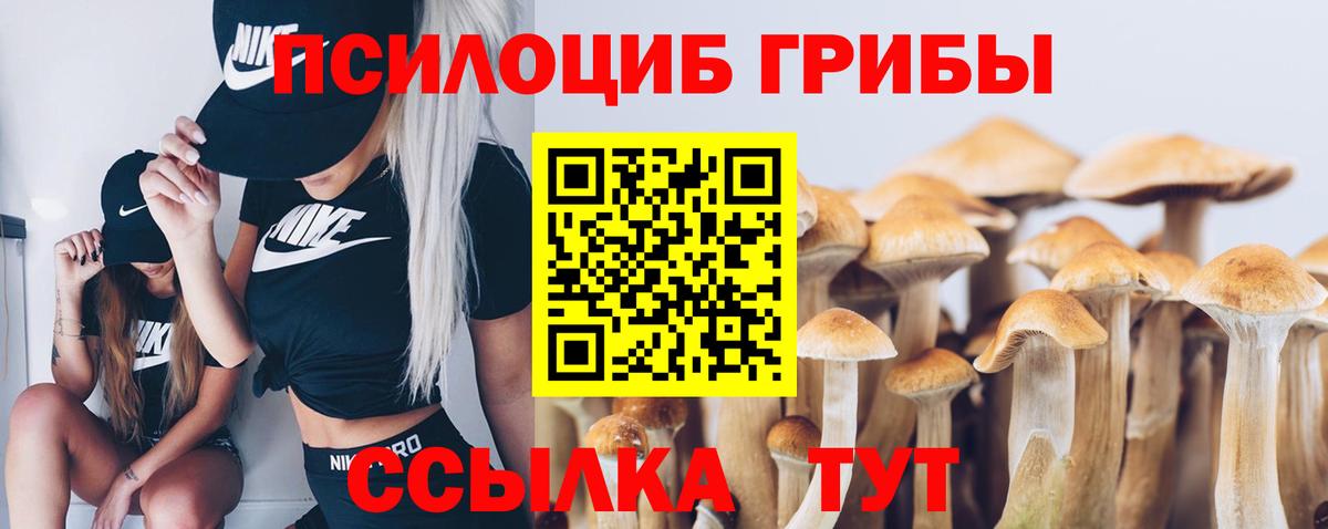 Галлюциногенные грибы Cubensis Ростов Великий